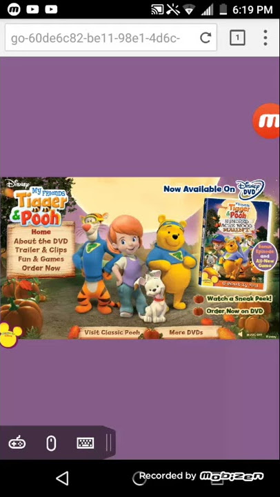 My Friends Tigger & Pooh Hundred Acre Wood Haunt DVD Website
