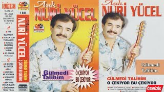 Nuri Yücel - Gülmedi Talihim Resimi