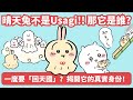 晴天兔其實不是兔哥？！番外篇全解析x日本民俗小知識 #Chiikawa #ちいかわ
