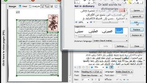 ABBYY Arabic OCR demonstration
