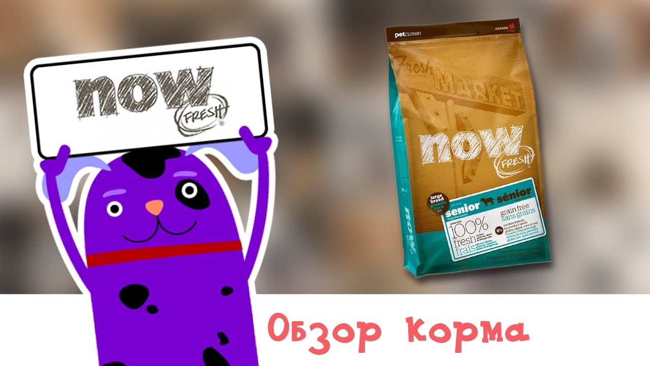 Обзор корма NOW Fresh Senior Large Breed Recipe Grain Free