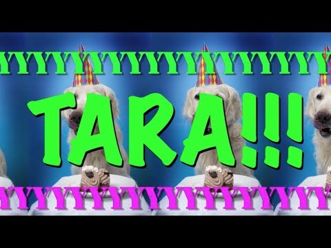 happy-birthday-tara!---epic-happy-birthday-song