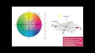 ATB Lab EXP4: Colorimetry
