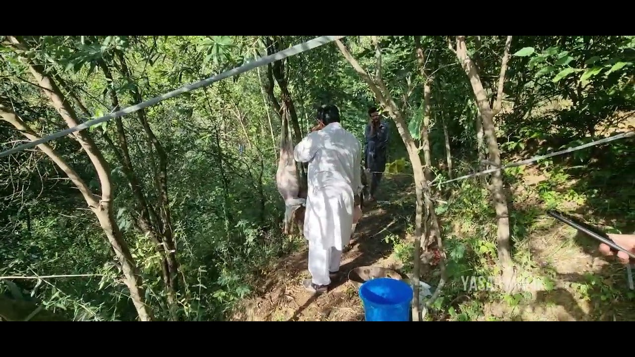 Making Mutton Meat | Goat fresh Meat | village vlog | yasar malik