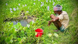 Old Man hunting catching koi fish by rod ~ Traditional hook fishing in the village canal