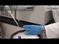 Tissue Homogenization Video | Biovision, Inc.