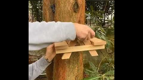 Guy makes picnic table for squirrels.