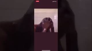 waaaaahhhhhh