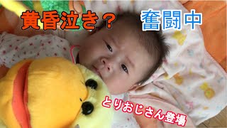 黄昏泣き？奮闘中｜泣き止まない赤ちゃんを抱っこ以外であやしてみる｜どのおもちゃが好きか