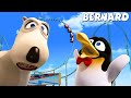 Orso Bernardo — Storie d’Estate 🏖️🐻 Avventure del Buffo Orsetto | Cartoni Animati in Italiano
