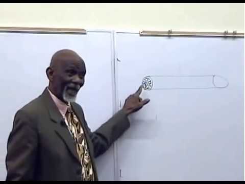 dr.-sebi-on-impotency-and-diabetes-preventing-erectile-dysfunction-&-improving-your-performance
