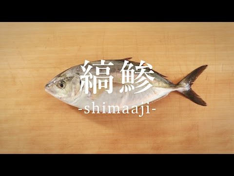 縞鯵（しまあじ）のさばき方  