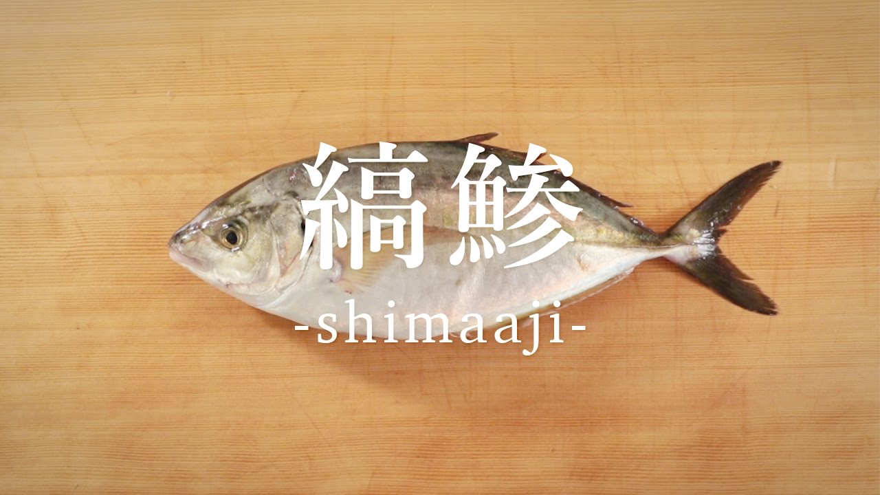 縞鯵 しまあじ のさばき方 How To Filet White Trevally 日本さばけるプロジェクト Youtube