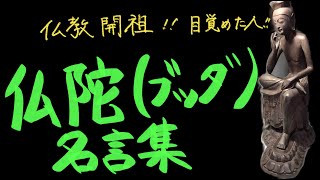 【仏教開祖】ブッダ（仏陀）名言集【人生は苦行と思えるが、どう生きていくか】