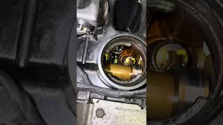 Mini Cooper R56 Inside the Head while the Engine Idles #mini #cooper #head #engineoil #diy #mechanic