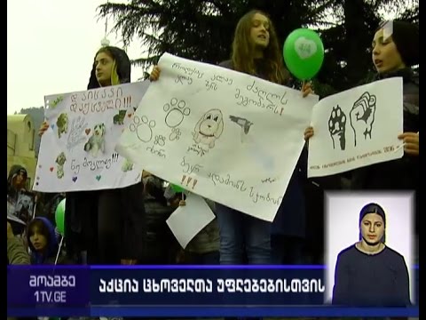 გადავარჩინოთ ძაღლები – აქცია ცხოველთა დაცვის საერთაშორისო დღესთან დაკავშირებით