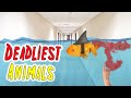 Top 10 Animals that Kill the Most People in the US.