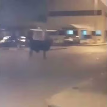 ثور هائج يبحث عن الامان بموقف إحدى الشركات