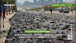 Μυστηριώδεις «βροχές» ζώων που έχουν καταγραφεί σε διαφορετικές χώρες – Πώς εξηγείται το φαινόμενο