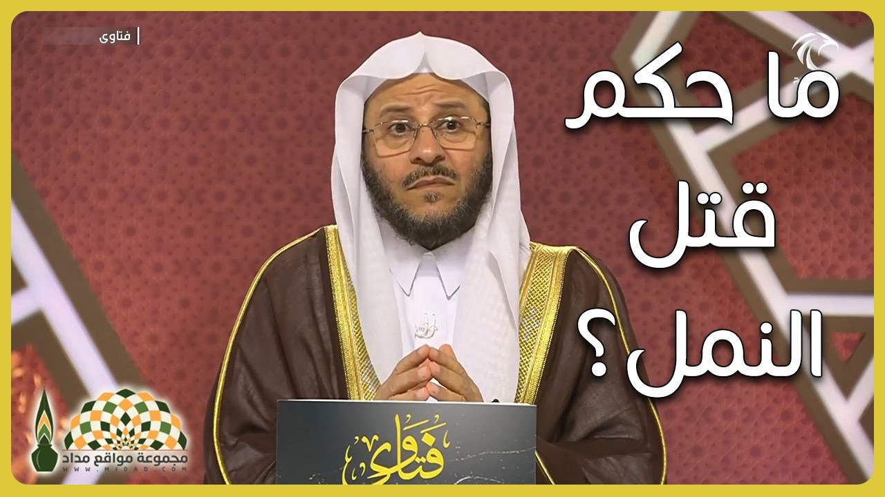 ما حكم قتل النمل عمدًا أو خطأً؟ - فضيلة الشيخ د. عزيز فرحان العنزي
