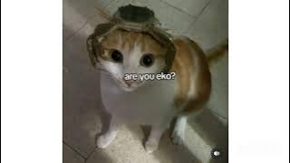 DJ funkot tie me down remix speed #dj