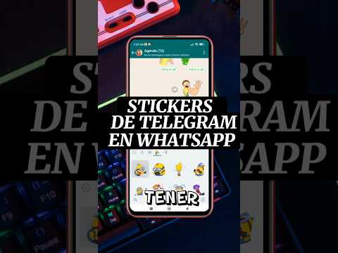 Como Pasar STICKERS de Telegram a Whatsapp 🔥