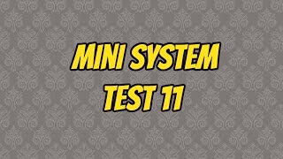 Mini system test 11 [MS-2]