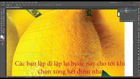 Qdesign| Mesh Tool Illustrator - Hướng dẫn sử dụng mesh vẽ quả chanh  trong AI