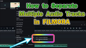 How to separate Multiple Audio Tracks Filmora