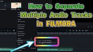 How to separate Multiple Audio Tracks Filmora