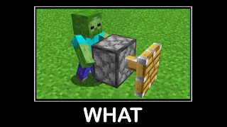 WAIT WHAT (Minecraft) #67