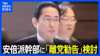 【独自】安倍派幹部に「離党勧告」検討　自民党、派閥の裏金事件受け　二階氏の処分は見送り｜TBS NEWS DIG