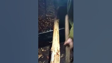 For When You’ve Had Enough of Imperfection - Tree Bark Scraper Drawknife