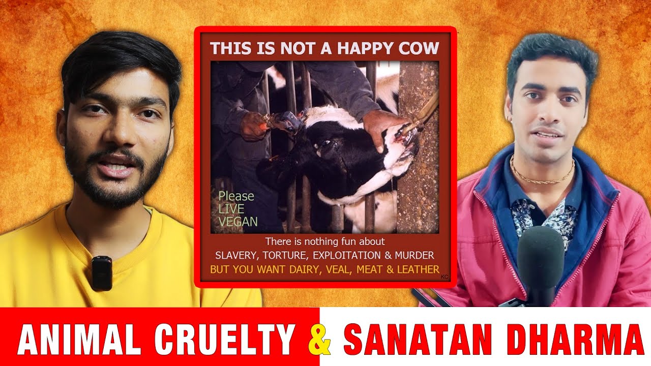 How Indians must stop animal cruelty - Arjun Chawda FT. 