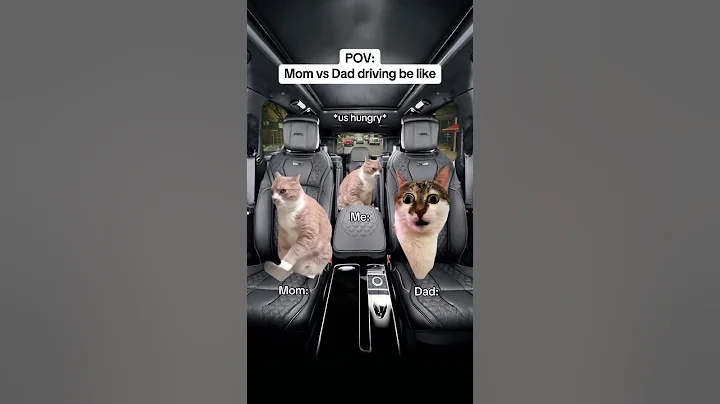 CAT MEMES 🐱Mom Vs Dad Driving be like #catmemes #relatable #relationship