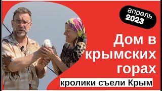 Где в Крыму самые дешёвые и дорогие дома и участки | купить дом в КРЫМУ