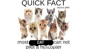 day 91 of beating a random ultrakill level every day until i come out to my parents