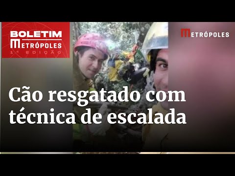 Cão desaparecido há 4 dias é resgatado com técnica de escalada em SC | Boletim Metrópoles 1º