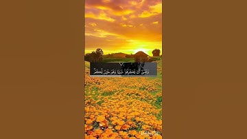 #آيات #راحة_نفسية #ارح_قلبك #تلاوات #آيات_القرآن_الكريم #دعاء_مستجاب #دعاء #ارح_قلبك