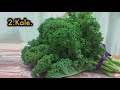 8 Vegetables You Can Grow In Your Tiny Apartment All Year Round Mp3 Song