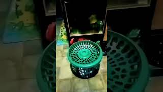 Pake Baju Cewek Cantik Episode 6