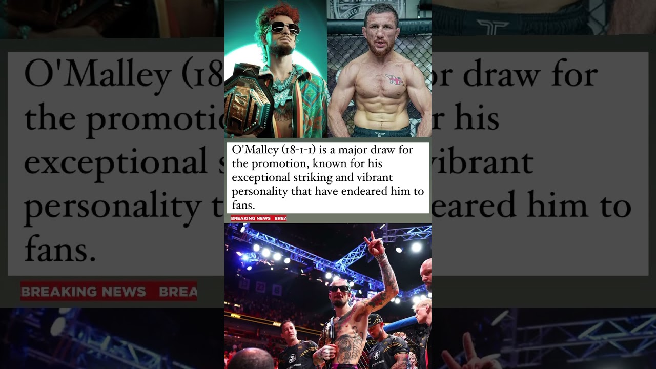 ufc fight | ufc fight tonight | ufc 306 results 