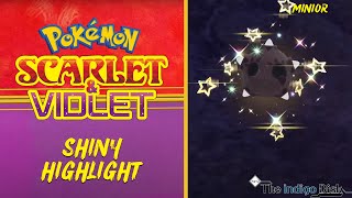 Shiny Minior REACTION! - Pokemon Scarlet and Violet