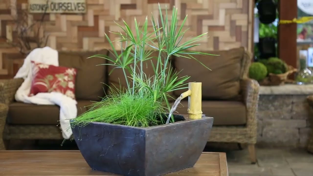 Proud Pond Products: Aquatic Patio Pond Kit