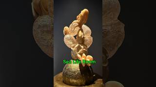 Beautiful Chihuly Garden’s SeaLife Room in Seattle Washington