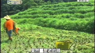 千歲農夫團追夢 石梯水田重現生機 20140810 - 台灣1001個故事