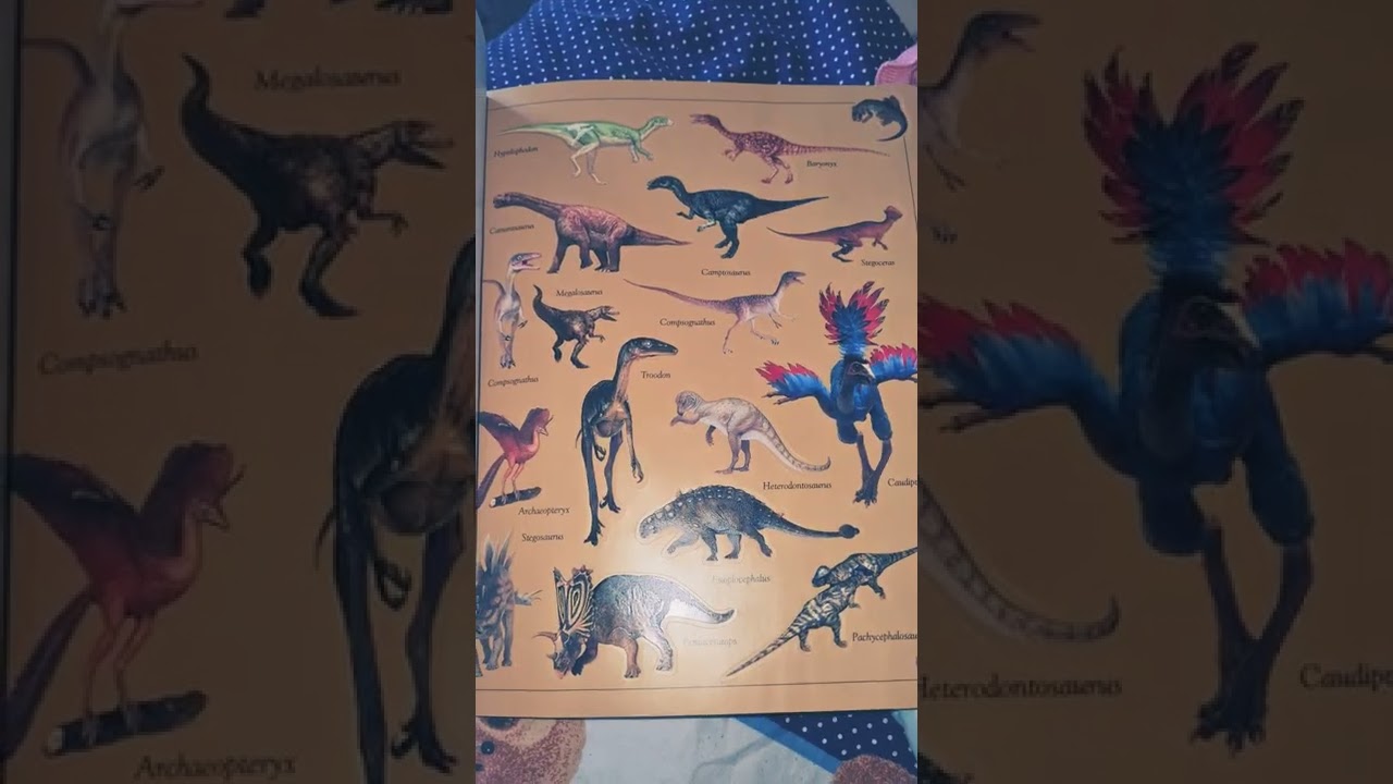 DINOSAUR STICKERS 🦕 🦖 GLOW IN THE DARK STICKER BOOK  🦕 