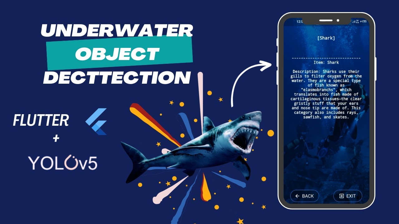 Under Water Object Detection - Flutter Mobile App - YouTube