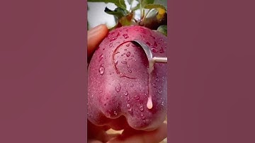 unique tool for cutting round shapes #shorts