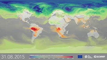 CHE Project - A year of atmospheric CO2 variability at the time of the Paris Agreement